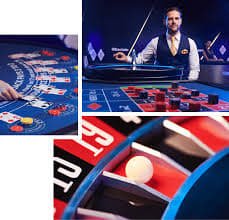 Dashboard VIP Roulette dengan riwayat permainan lengkap